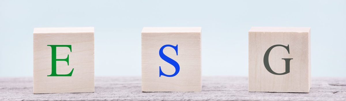 Responsabilité Sociétale des Entreprises (RSE)